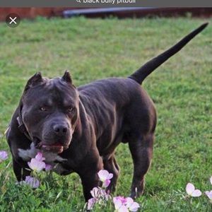 Meet your Posher, Ty